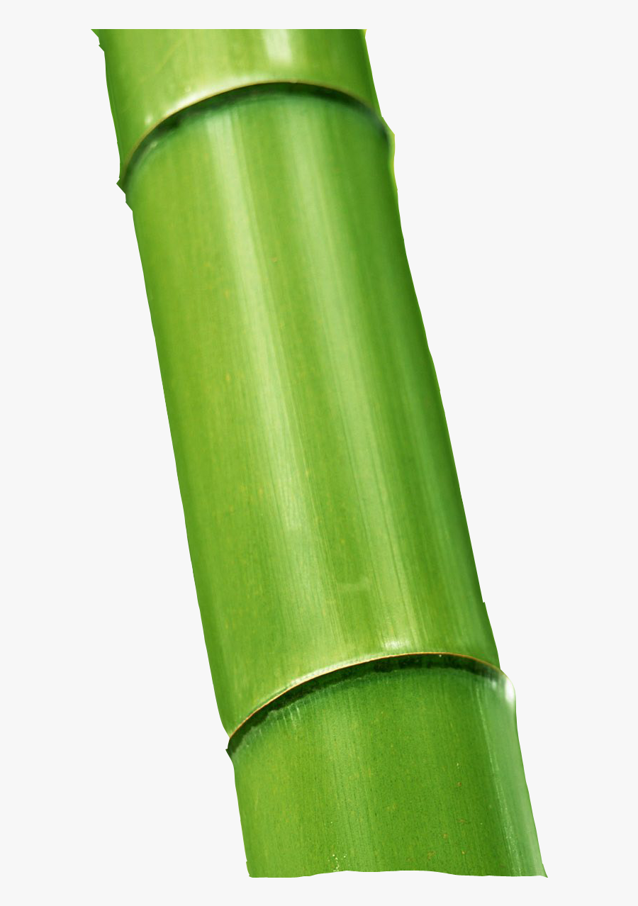 Bullet Image Png Related - Green Bamboo, Transparent Clipart