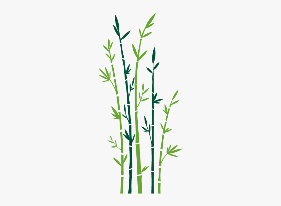 Bamboo Tree Silhouette Png, Transparent Clipart