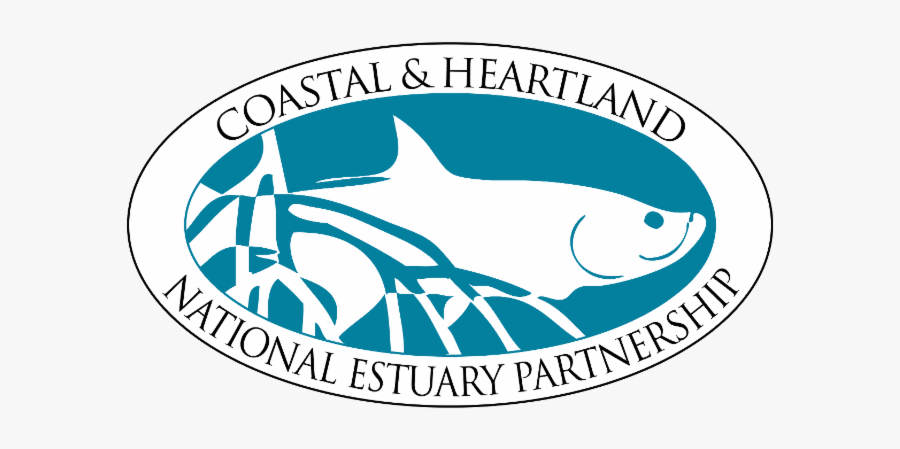 Ellipse, Transparent Clipart