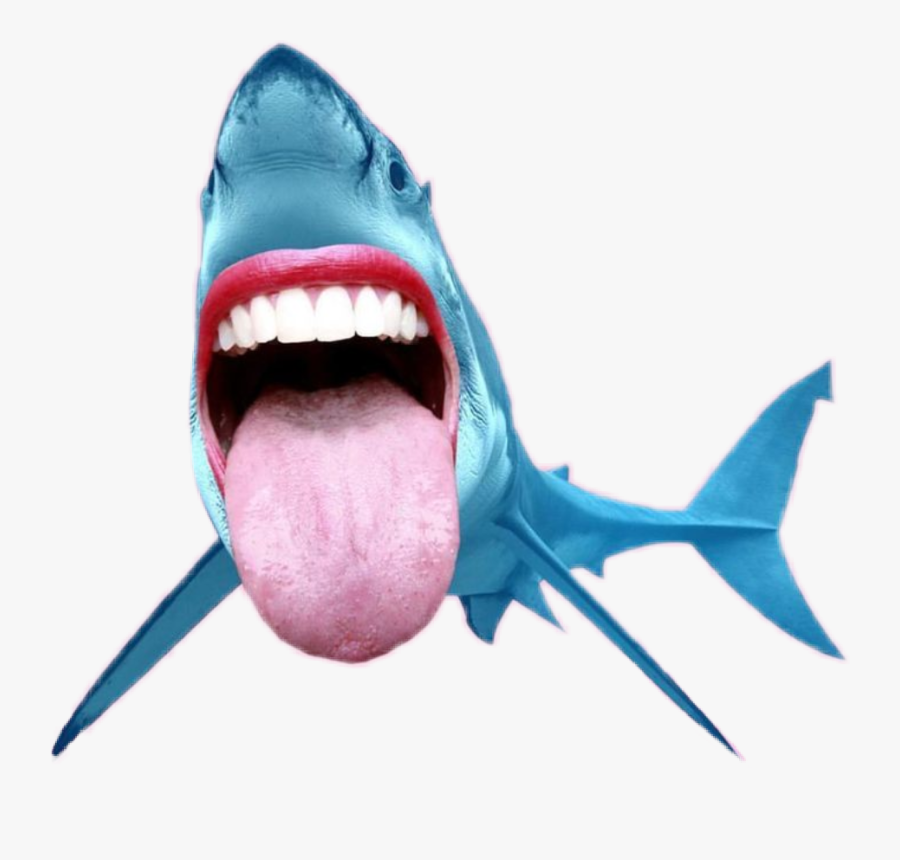Transparent Shark Mouth Png - Shark Transparent Background, Transparent Clipart