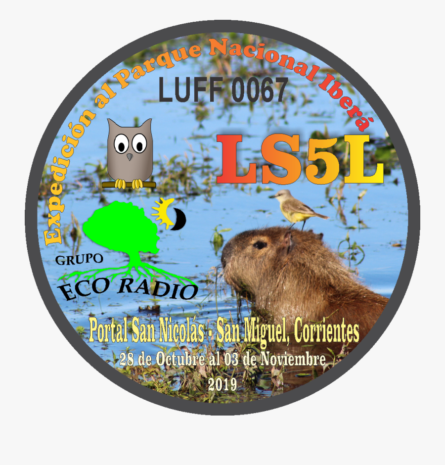 Ls5l, Transparent Clipart