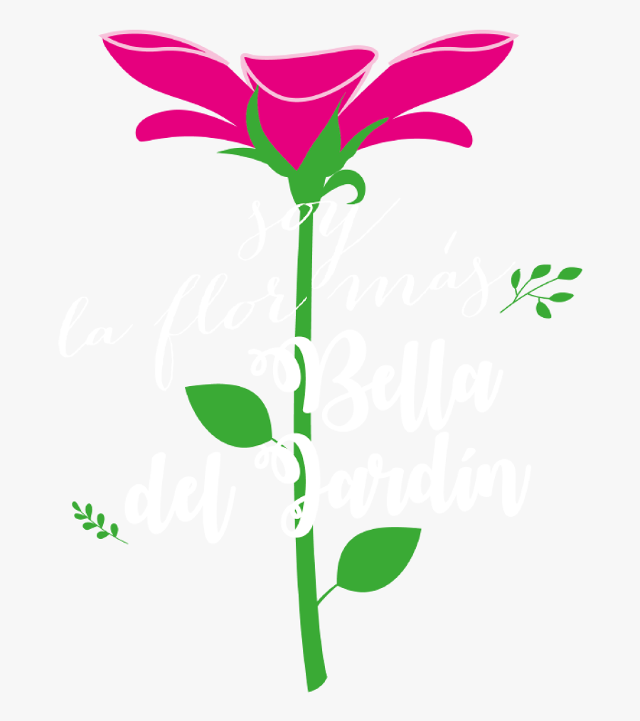 La Flor Más Bella Del Jardín, Transparent Clipart