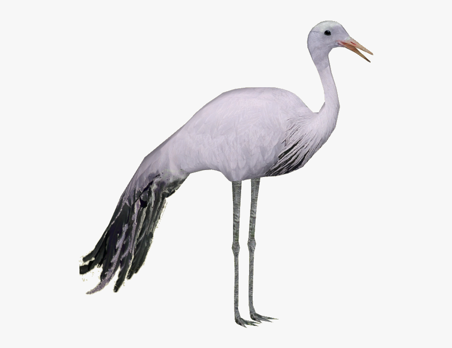 Blue Crane Bird Png, Transparent Clipart