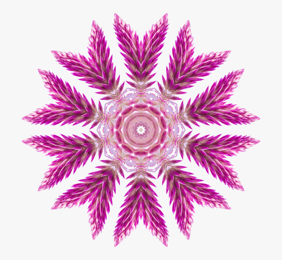 Portable Network Graphics, Transparent Clipart