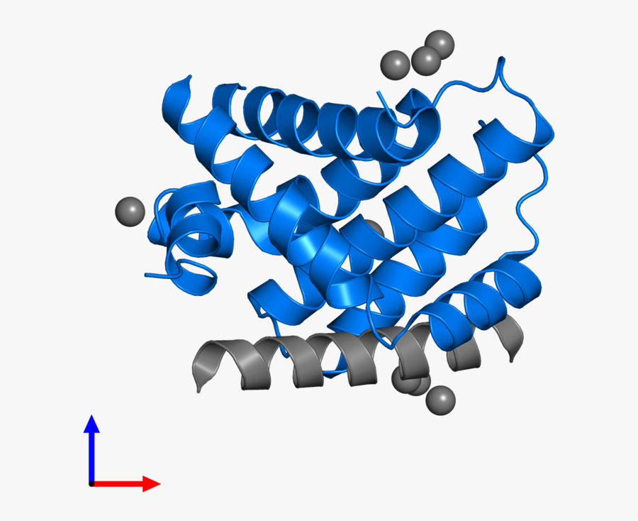 Graphic Design, Transparent Clipart