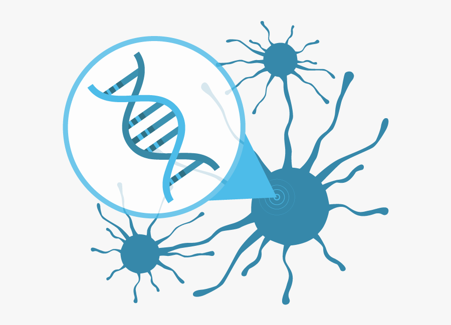 Cancer Sequencing - Illustration, Transparent Clipart