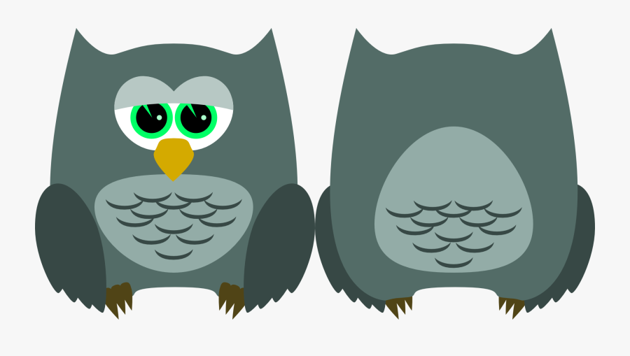 Owl, Transparent Clipart