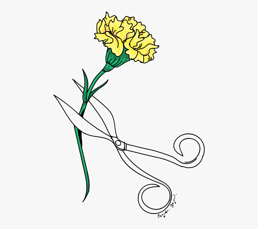 Paws For Art, Transparent Clipart