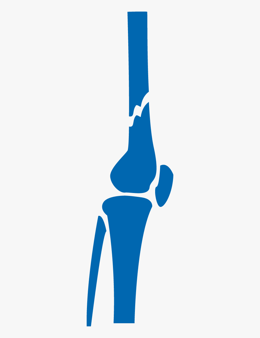 Total Orthopedics Sports & Spine, Transparent Clipart