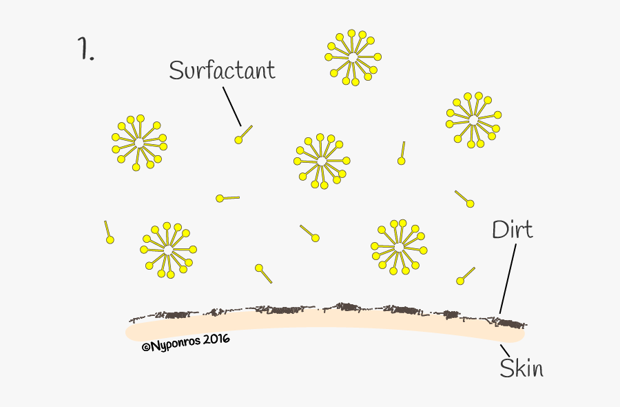 Why Are There Surfactants In Shampoo And Shower Cream - Work Of Surfactant In Shampoo, Transparent Clipart