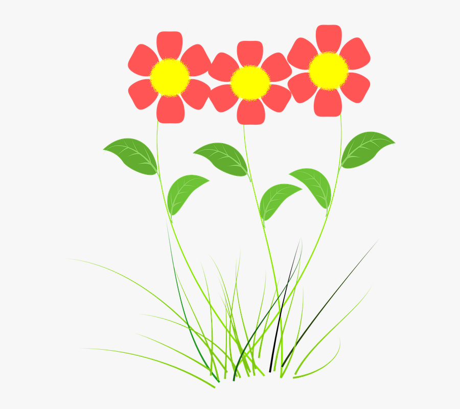 Drawings Of Spring Flowers 10, Buy Clip Art - Flower Plant Vector Png, Transparent Clipart