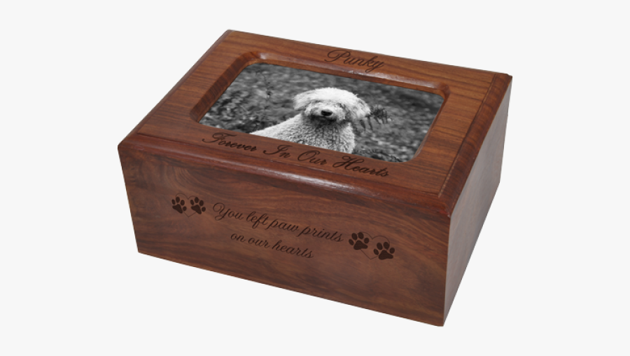 Spaniel, Transparent Clipart