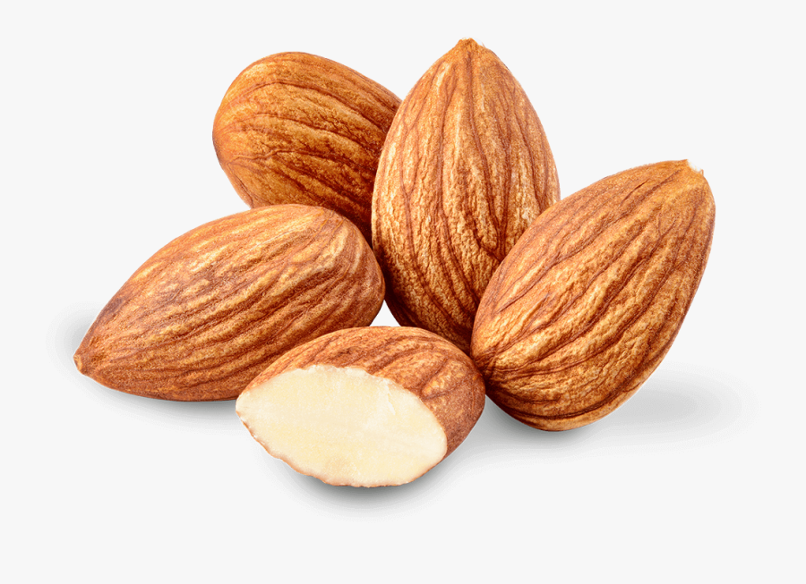 Almond Oil Nut Almond Oil Food - Transparent Almond Png, Transparent Clipart