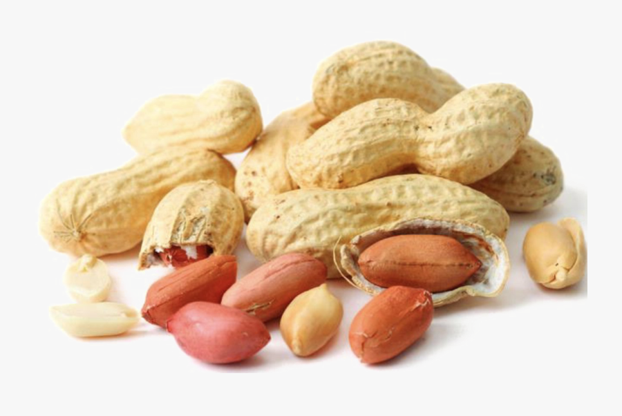 Nuts,nuts & - Transparent Background Groundnut Png, Transparent Clipart