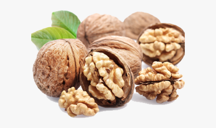 Shelled Walnut, Transparent Clipart