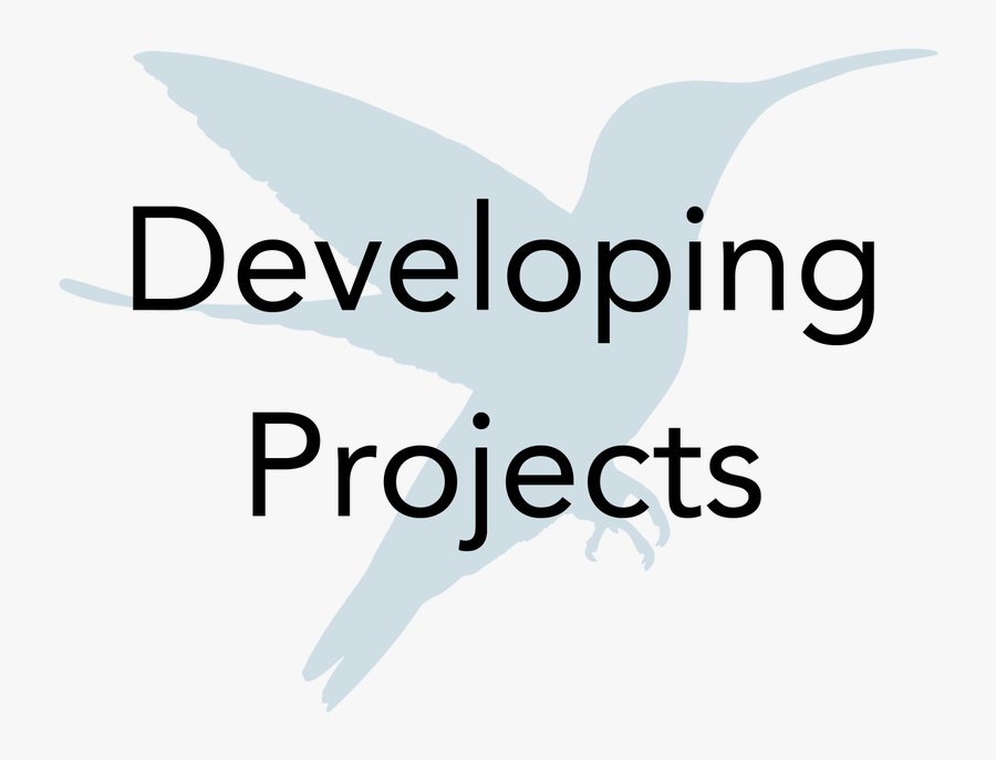 Picture - Toys R Us Coupons, Transparent Clipart