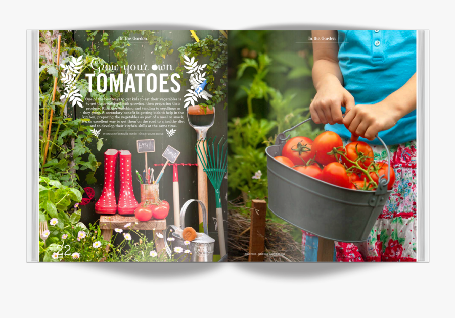 Garden, Transparent Clipart