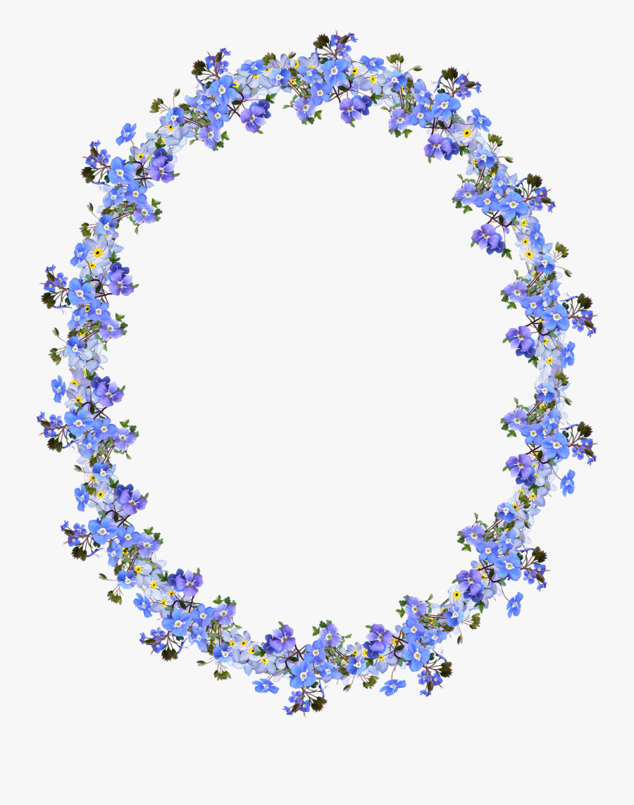 Circle, Transparent Clipart
