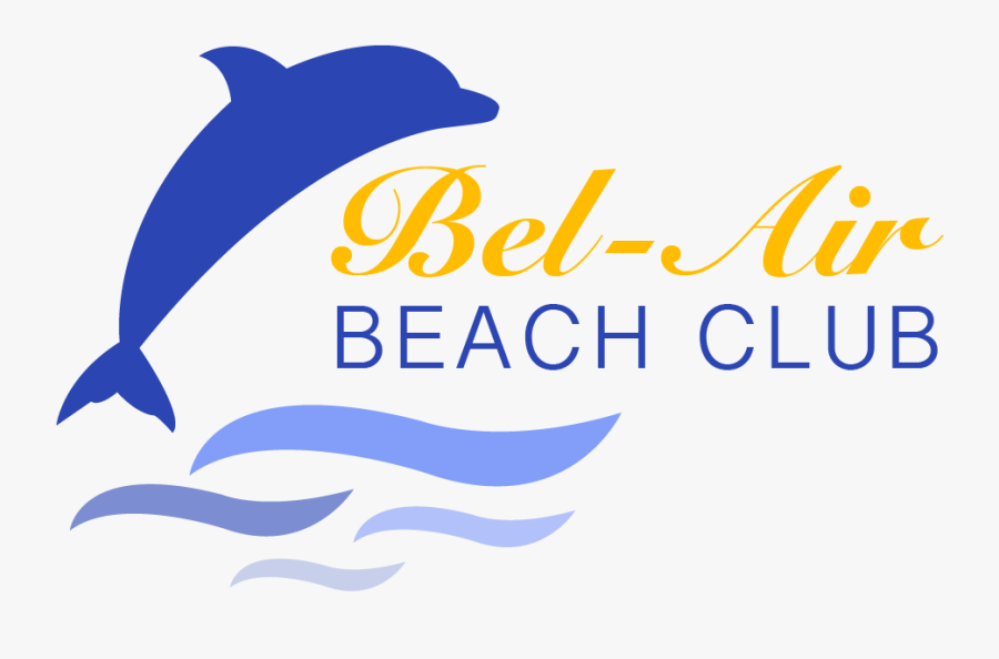 Clipart Dolphin Vacation Florida - Boligpartner, Transparent Clipart