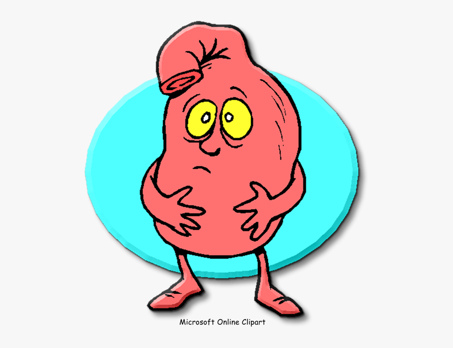 Indigestion Gastric Acid Pneumonia Pathophysiology - Stomach Bug ...
