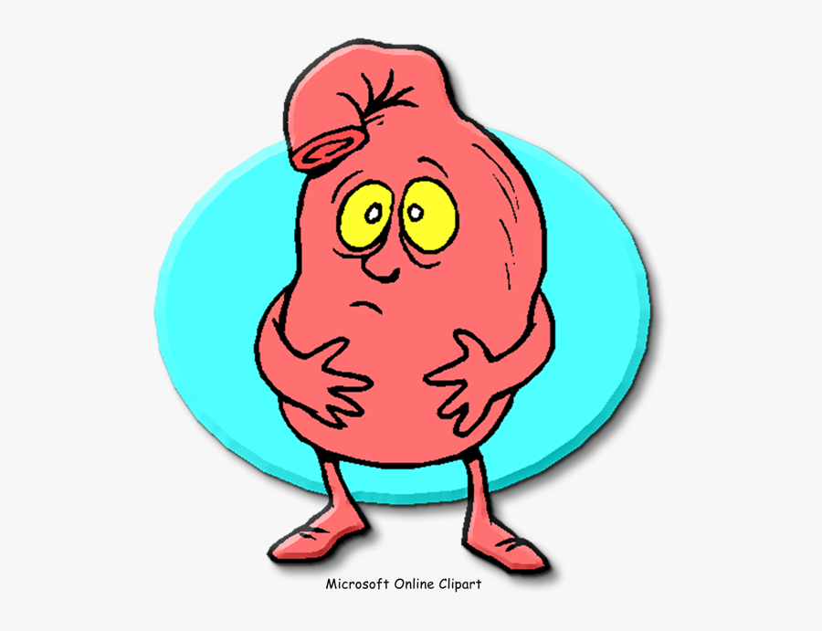 Indigestion Gastric Acid Pneumonia Pathophysiology - Stomach Bug Clipart, Transparent Clipart