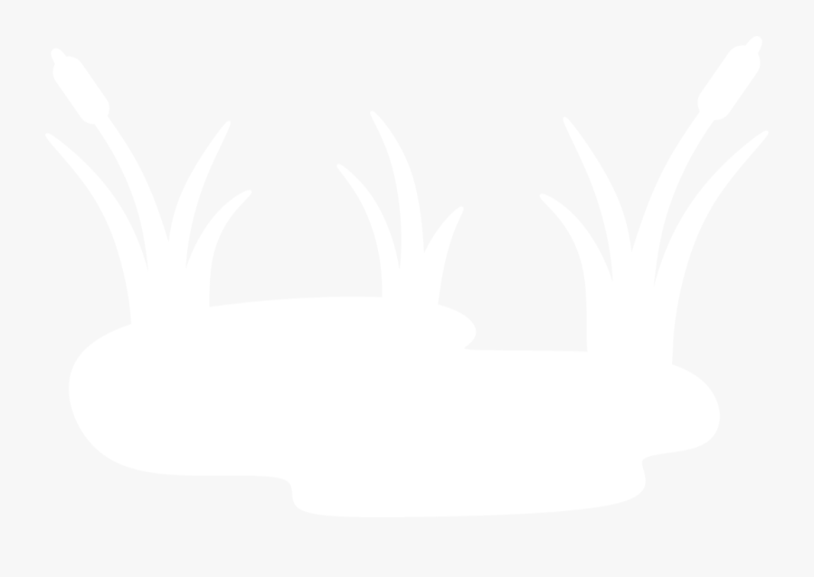 Pond Clipart Coloring, Transparent Clipart