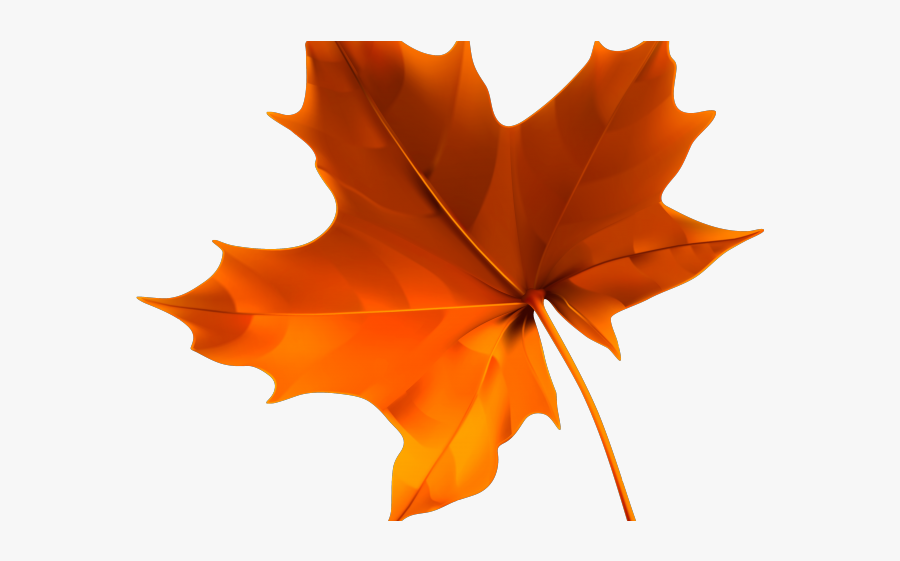 Fall Leaf Clipart Maple - Fall Leaf Transparent Background, Transparent Clipart