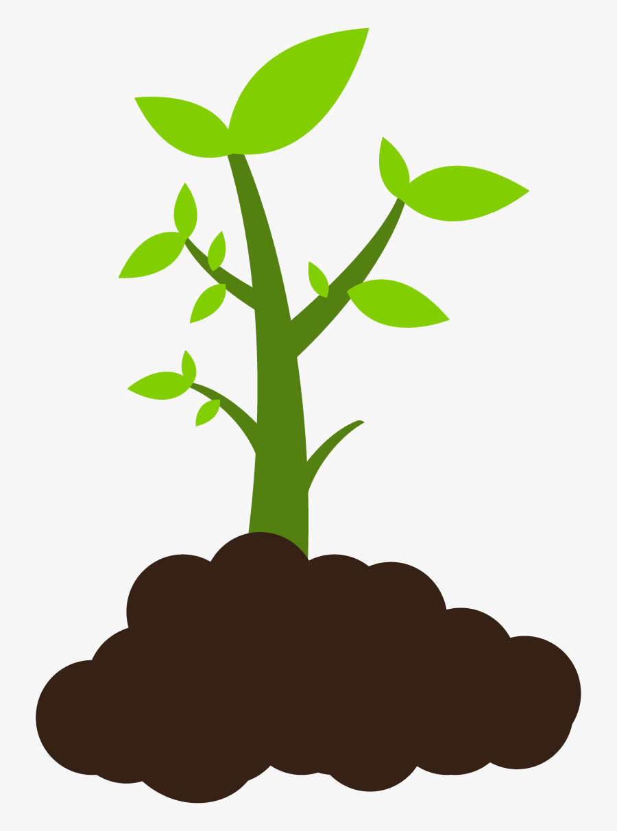 Growing Plant Graphic, Transparent Clipart