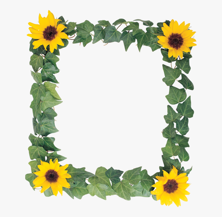 Sunflower Clipart Wedding - Sun Flower Frame Hd Png, Transparent Clipart