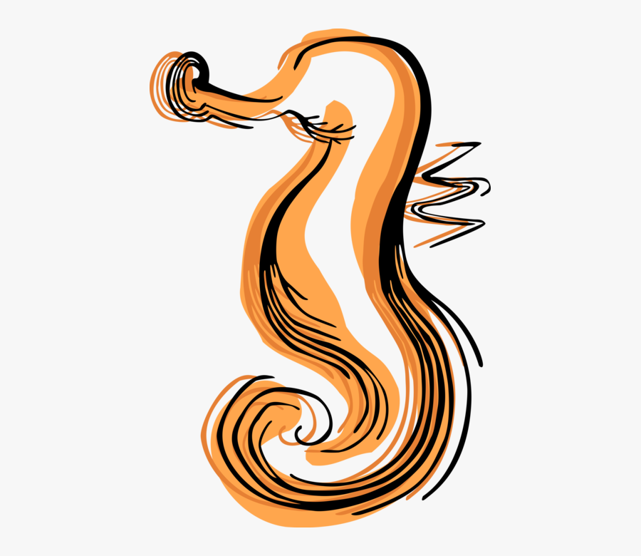 Vector Illustration Of Marine Fish Hippocampus Genus, Transparent Clipart