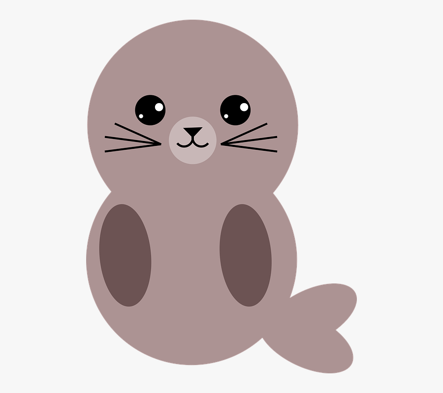 Seal, Mammal, Animal, Nature, Wildlife, Cute, Eyes - Cartoon, Transparent Clipart