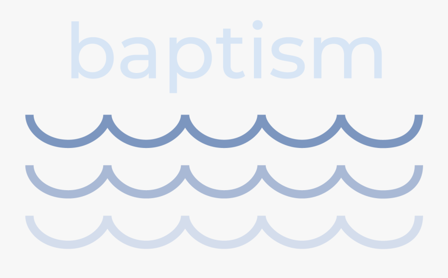 Circle, Transparent Clipart