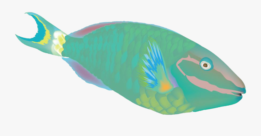 Sub Sea Systems Our - Okra Peji, Transparent Clipart