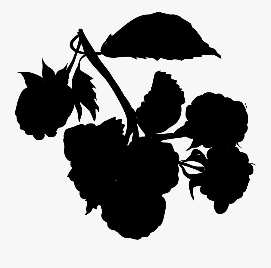M / 0d Clip Art Flower Silhouette Fruit - Clip Art, Transparent Clipart