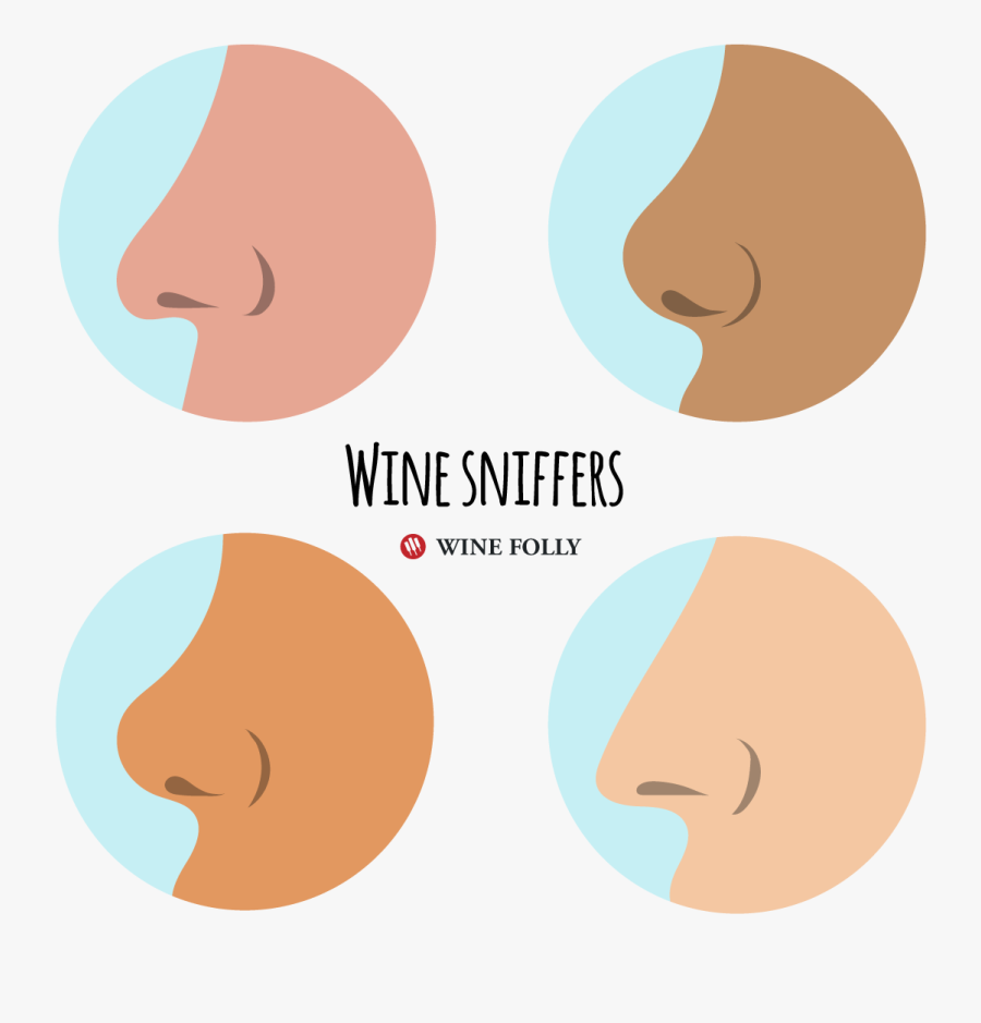 Wine Noses Illustration By Wine Folly, Transparent Clipart