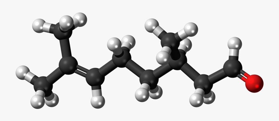 Inside Our Nasal Cavity Is A Special Chemical Receptor - 1 2 Dichloropropane Model, Transparent Clipart