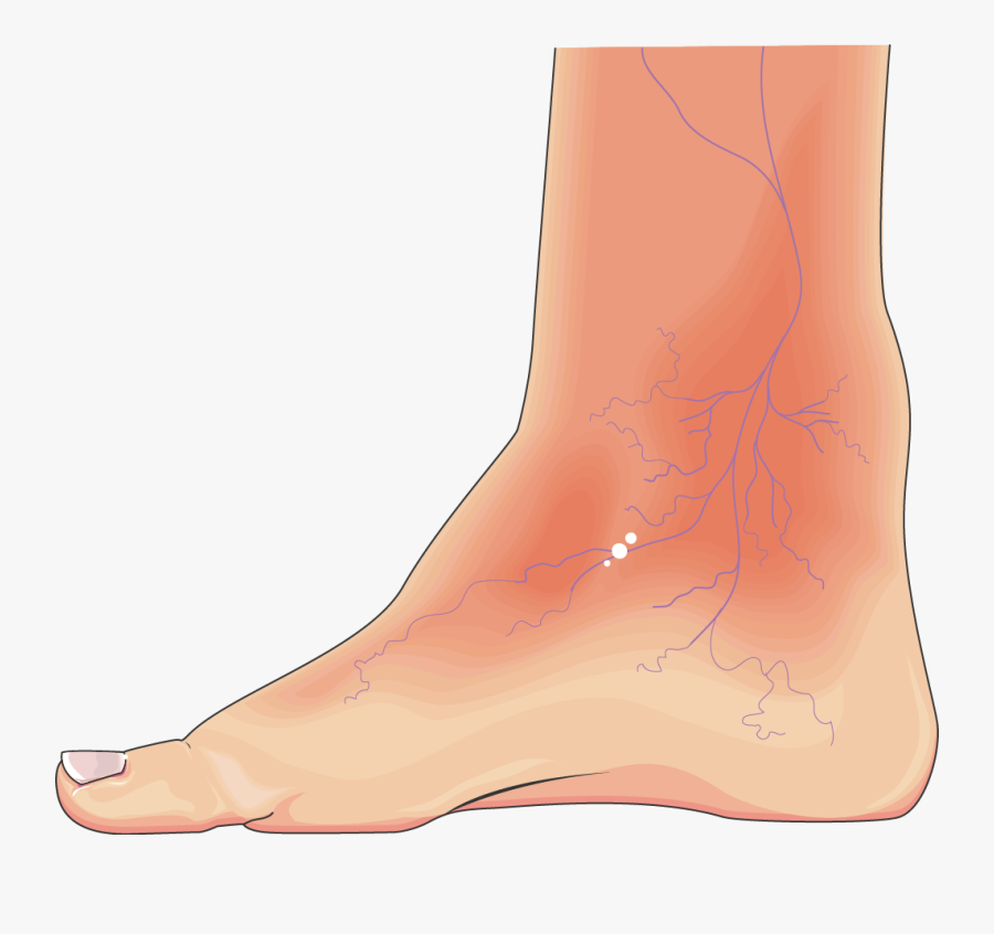 Cowboy Boot, Transparent Clipart