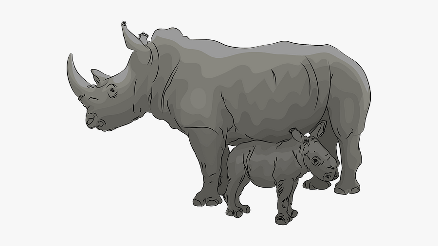 Black Rhinoceros, Transparent Clipart
