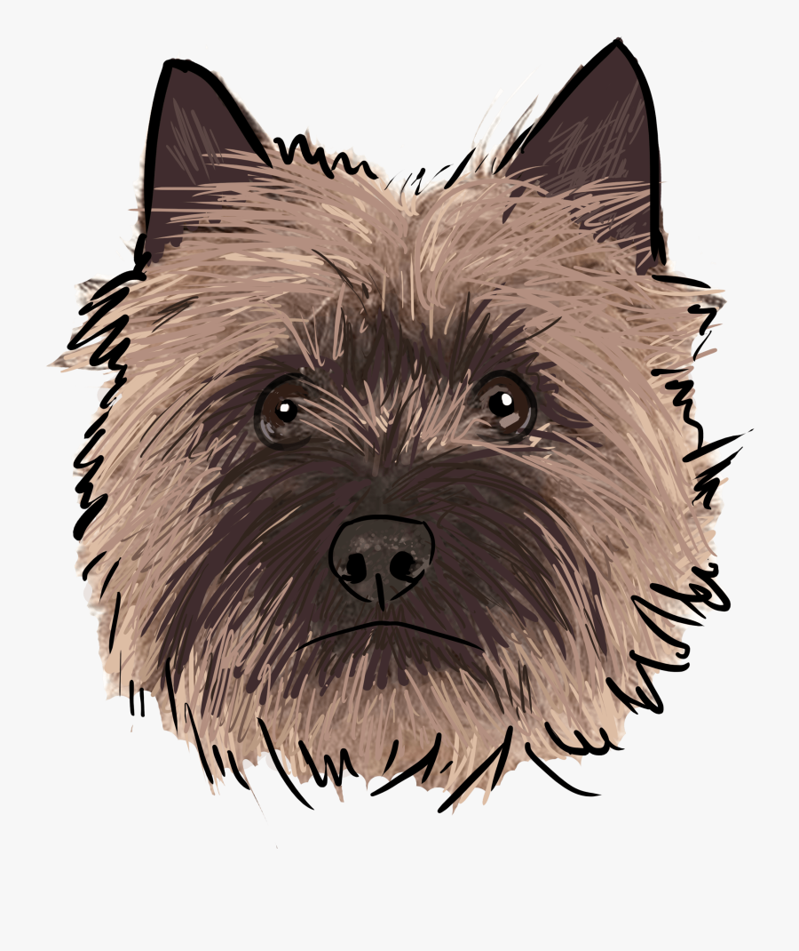 Why Are You A Dog - Cairn Terrier Clipart, Transparent Clipart