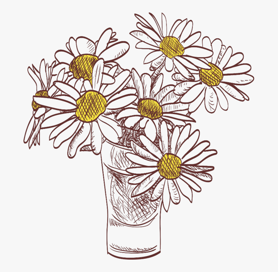 Chamomile, Transparent Clipart