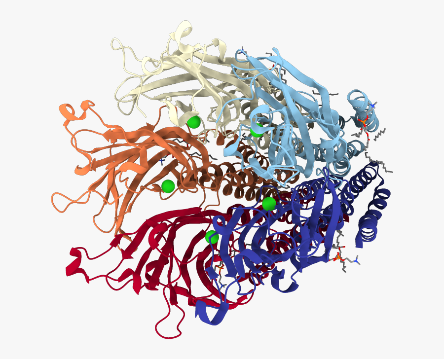 Transparent Uub Png - Illustration, Transparent Clipart