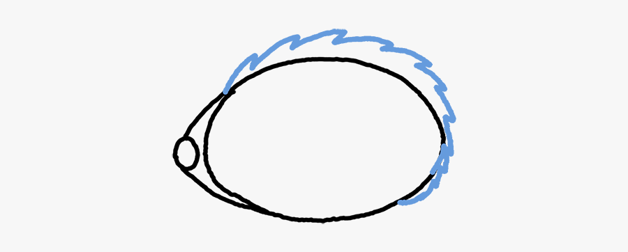 Circle, Transparent Clipart