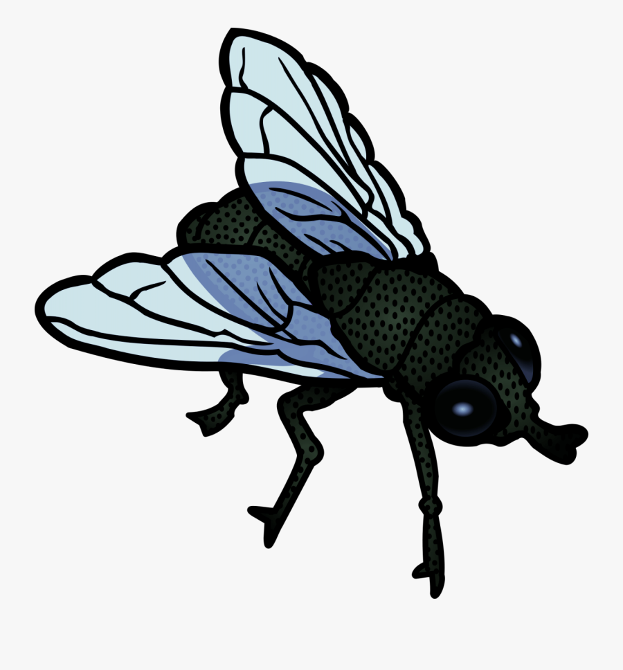 Fly - Flies Clipart, Transparent Clipart