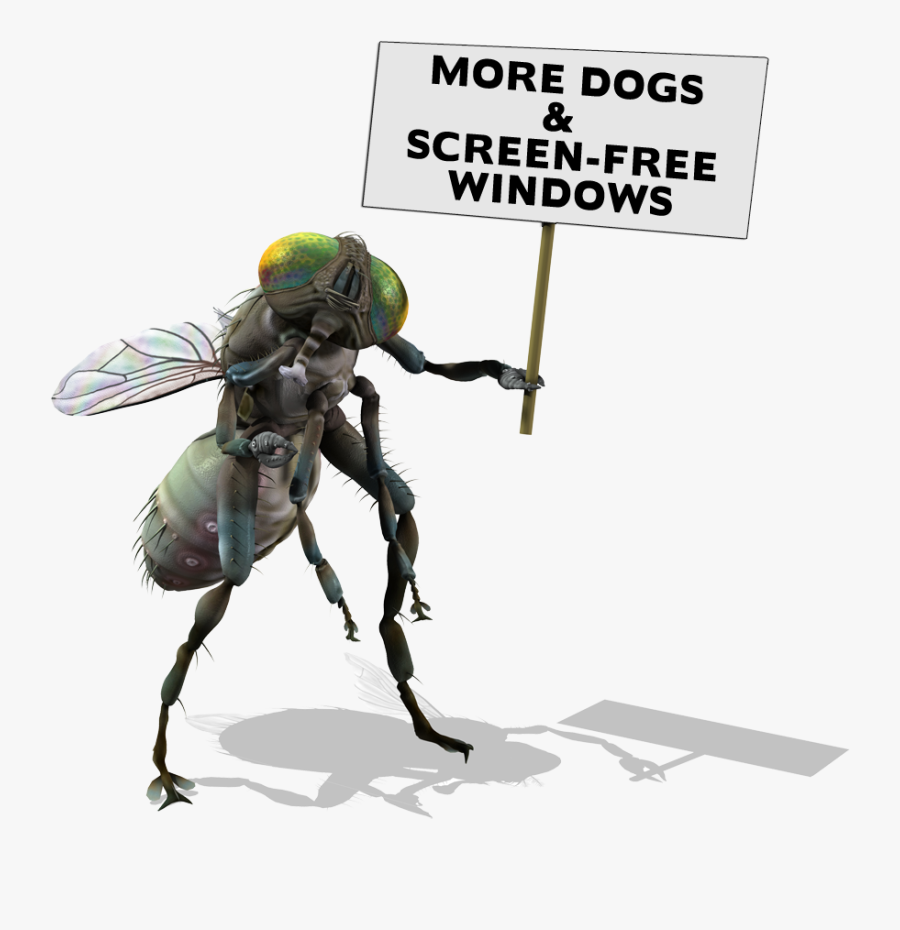 Fly Sign - De Uma Mosca Gigante, Transparent Clipart