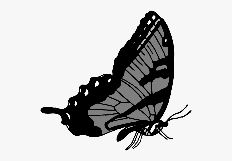 Insecto Png, Transparent Clipart