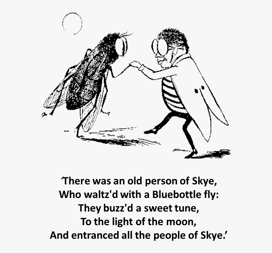There Was An Old Person Of Skye, Who Waltz"d With A - Edward Lear Fly, Transparent Clipart