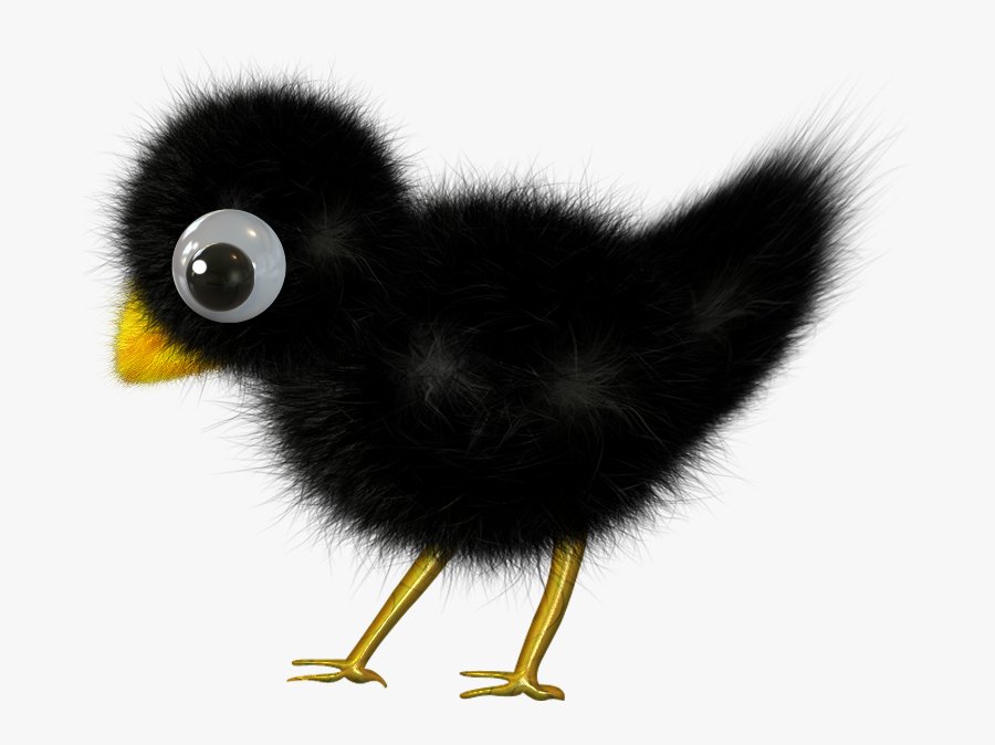 Transparent Fuzz Png, Transparent Clipart