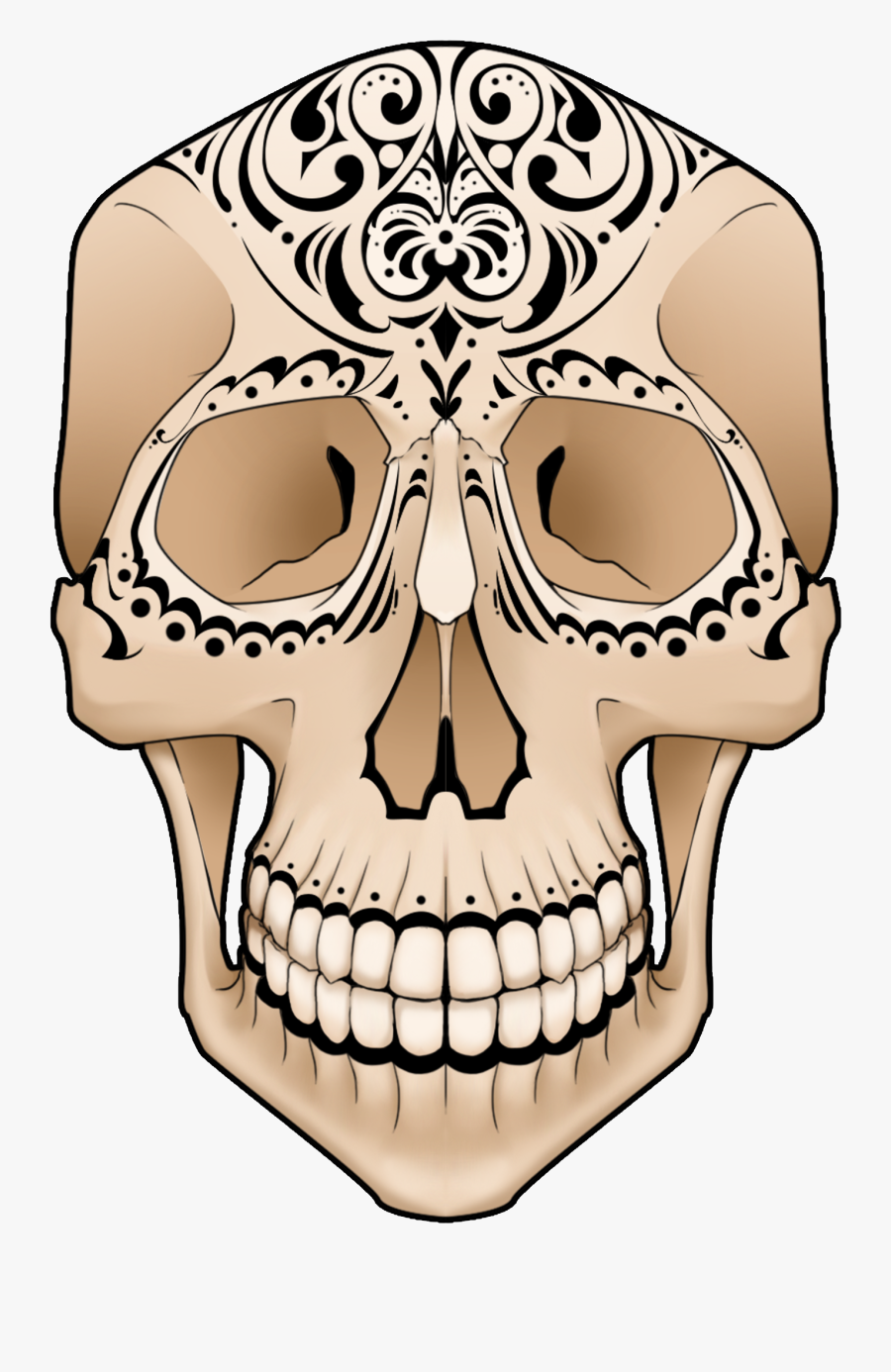 Skull, Transparent Clipart