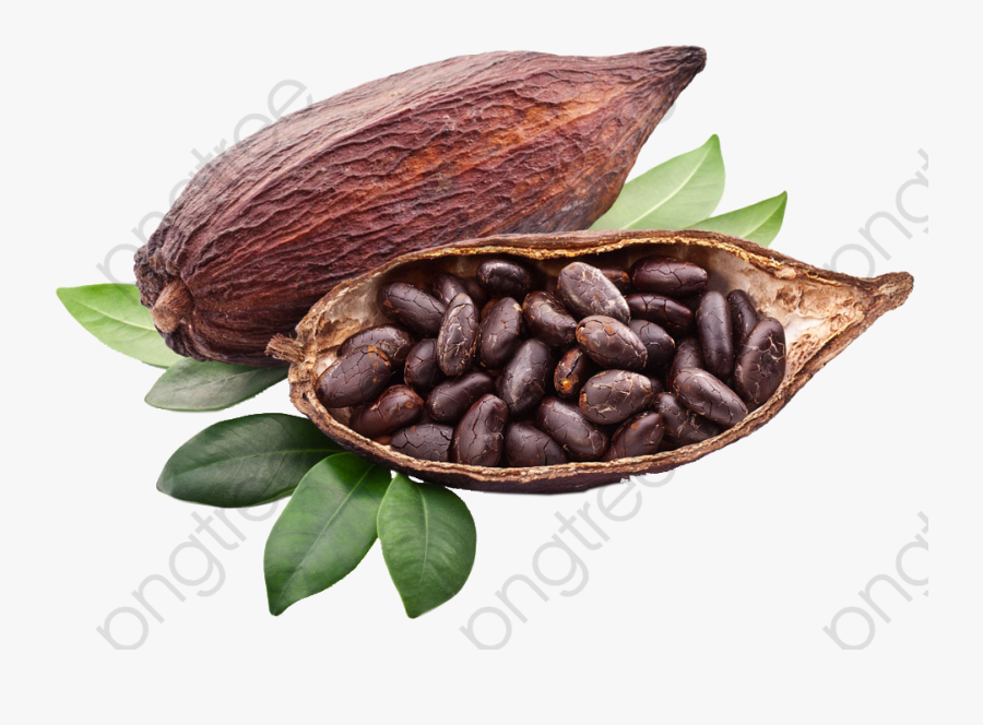 Baking Clipart Transparent Image - Cocoa Beans Transparent Background, Transparent Clipart