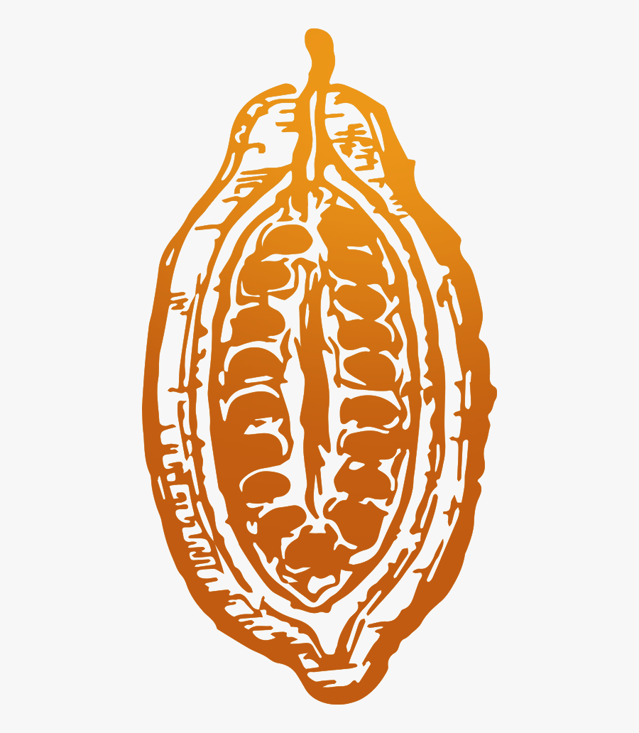 Transparent Cacao Png, Transparent Clipart